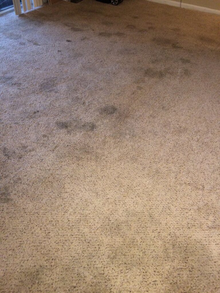A heavily soiled carpet with visible dirt and stains, awaiting cleaning from KB Cleaning Services, Inc. in Atlanta, GA.