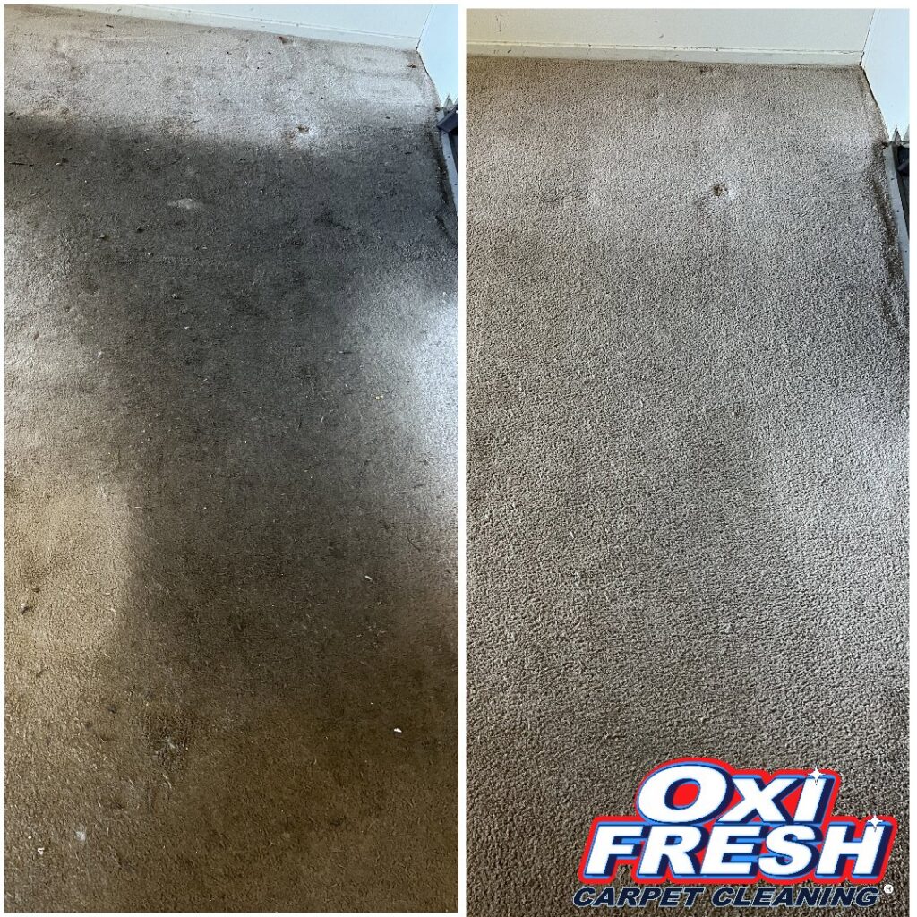 Before and after of a heavily soiled carpet expertly cleaned by Oxi Fresh Carpet Cleaning in Frederick, MD
