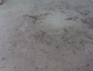 A heavily soiled carpet requiring cleaning by Sterling SYLVA Sisters Cleaning Services in Kapolei, HI.