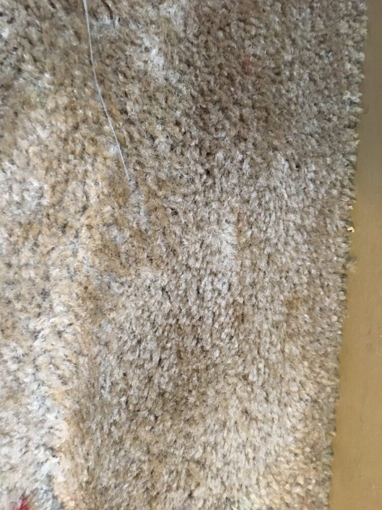 A heavily soiled and matted carpet before professional cleaning by Sunshine Carpet Cleaning Services in Houston, TX