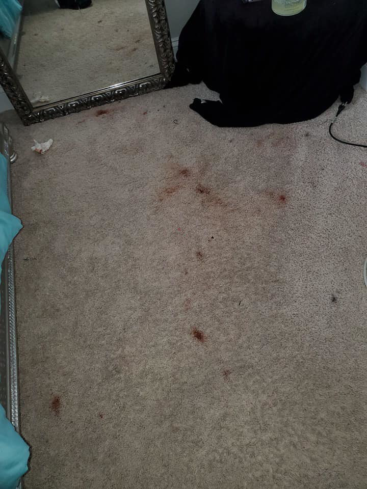 A heavily stained carpet in a bedroom, ready for professional cleaning by T&P Carpet Care in Charlotte, NC.