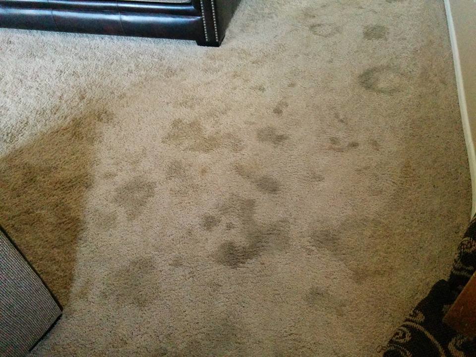 A heavily stained, light-colored carpet before professional cleaning by All Dimension Floor Care in Lenexa, KS.
