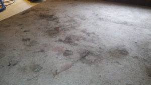 A heavily stained and dirty carpet before professional cleaning by The Carpet Medic in Suffolk, VA
