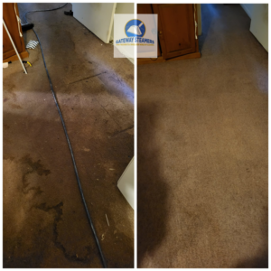 A heavily stained carpet restored to cleanliness by Gateway Steamers in Austin, TX