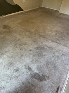 Heavily stained and dirty carpet before professional cleaning by 5 Alarm Carpet Care in West Allis, WI.