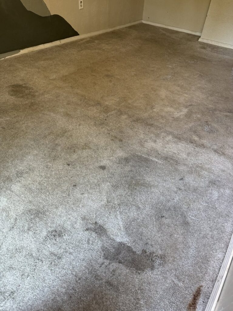 Heavily stained and dirty carpet before professional cleaning by 5 Alarm Carpet Care in West Allis, WI.