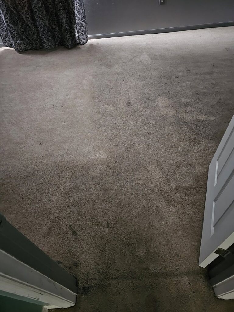 A heavily stained room carpet before professional cleaning by CitruSolution Carpet & Upholstery Cleaning of Orlando, FL