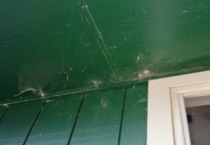 Heavy spiderwebs covering an outdoor eave, indicating a pest issue addressed by Allen Pest Control in Coeur d'Alene, ID.