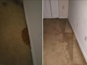 Before and after heavy stain removal on carpet by Professional Carpet Care Laurel in Laurel, MD