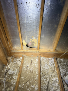 A hole in attic insulation, indicating potential wildlife or pest entry, inspected by Critter Mitch in Shawnee, KS.