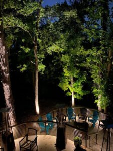 A large tree wrapped with festive white holiday lights, expertly installed by Get Lit KC & LOZ in Kansas City, KS.