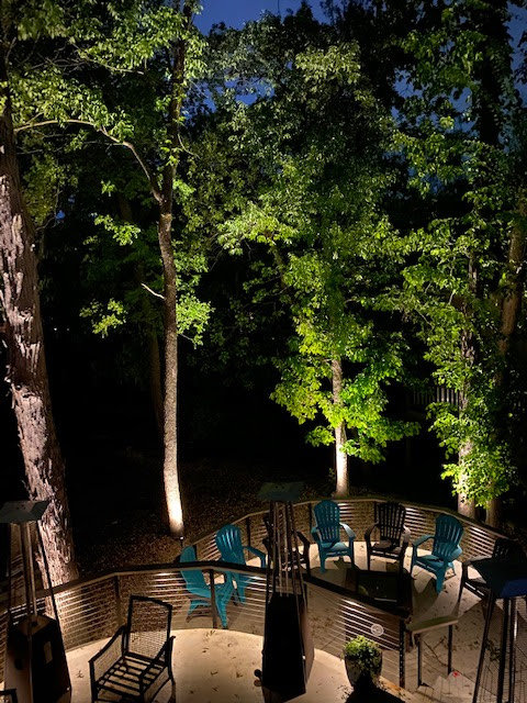 A large tree wrapped with festive white holiday lights, expertly installed by Get Lit KC & LOZ in Kansas City, KS.