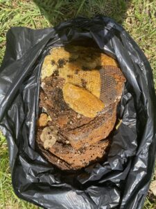 Removed honeycomb and bee nest debris in a black bag, demonstrating bee removal services by Sunbuzz Pest Control & Environmental Services in Fort Lauderdale, FL.