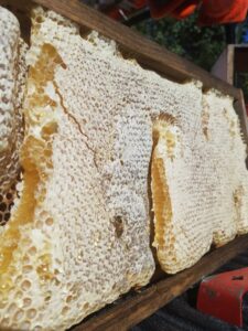 A frame of honeycomb filled with honey and active bees, showcasing the results of bee management by J R Bees LLC in San Diego, CA.