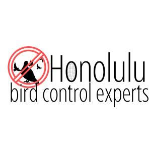 Honolulu Bird Control Experts