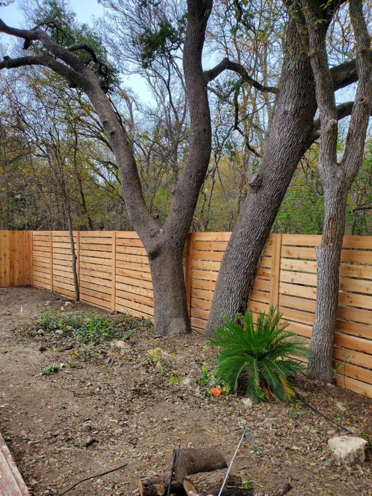 A custom horizontal slat wood fence built around existing trees by City Fence Co of San Antonio, TX