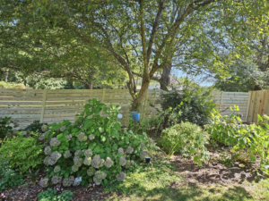 A modern horizontal slat wood fence installed amidst lush landscaping by The Fence Guy One in Greenville, SC.