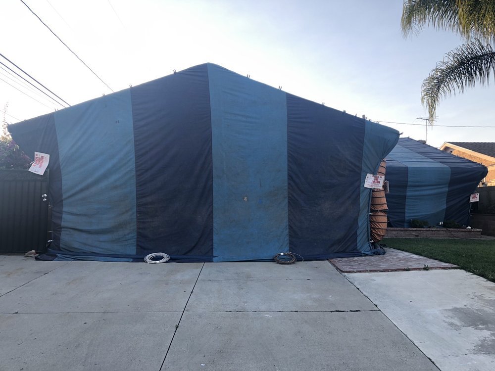 A residential property covered in blue and black fumigation tents for comprehensive termite treatment by Mecaf Termite and Pest Control in Long Beach, CA