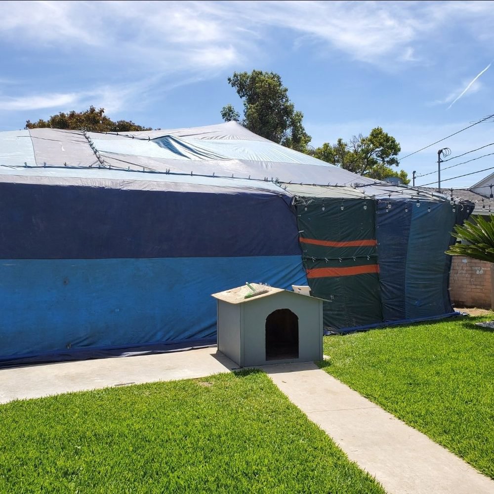 A house undergoing termite fumigation with blue and green tents, a service provided by Mecaf Termite and Pest Control in Long Beach, CA