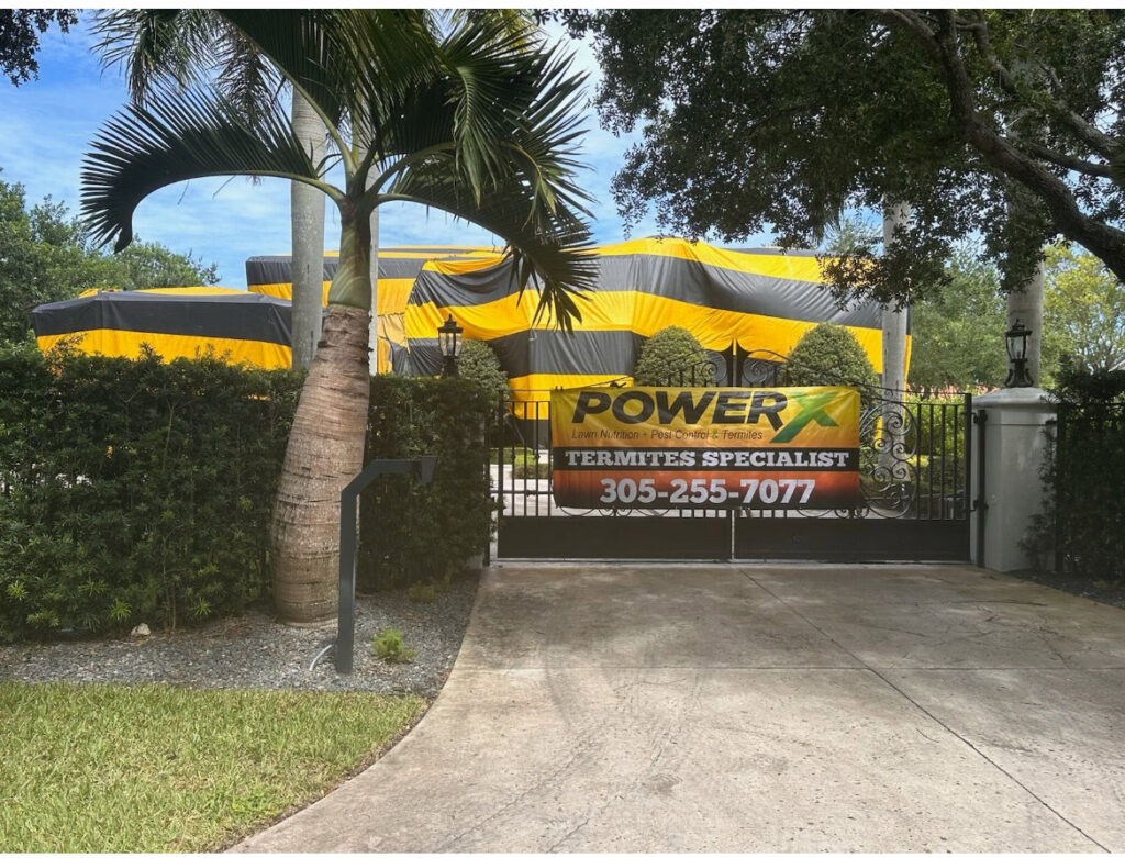 A house tented for termite fumigation by PowerX Pest Control of South Florida in Miami, FL.