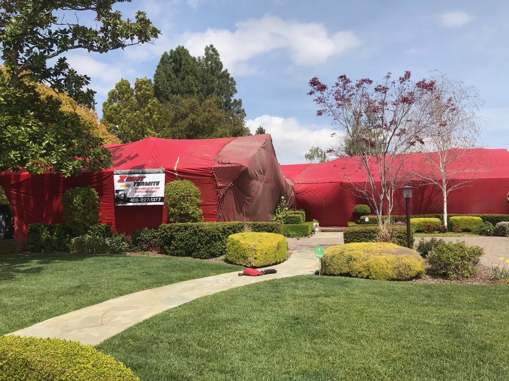 A residential house covered in red tarps for termite fumigation by Z Best Pest Solutions in San Jose, CA.