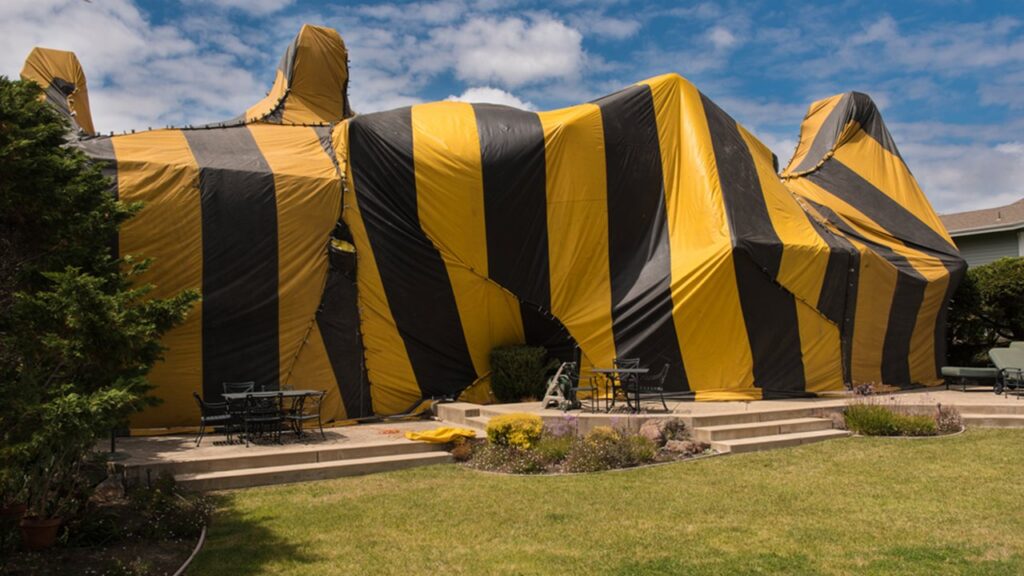 A house covered by a yellow and black fumigation tent for pest treatment by Frost Integrated Pest Management in Portland, OR.