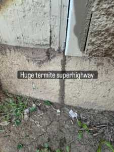 A large termite mud tube, referred to as a 'superhighway,' on a foundation wall by Preferred Choice Pest Control in Surprise, AZ.