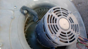 A close-up of a dusty HVAC blower motor and fan, indicating maintenance or repair by Atmosphere Mechanical Heating And Air / Ventilation in Aurora, CO.