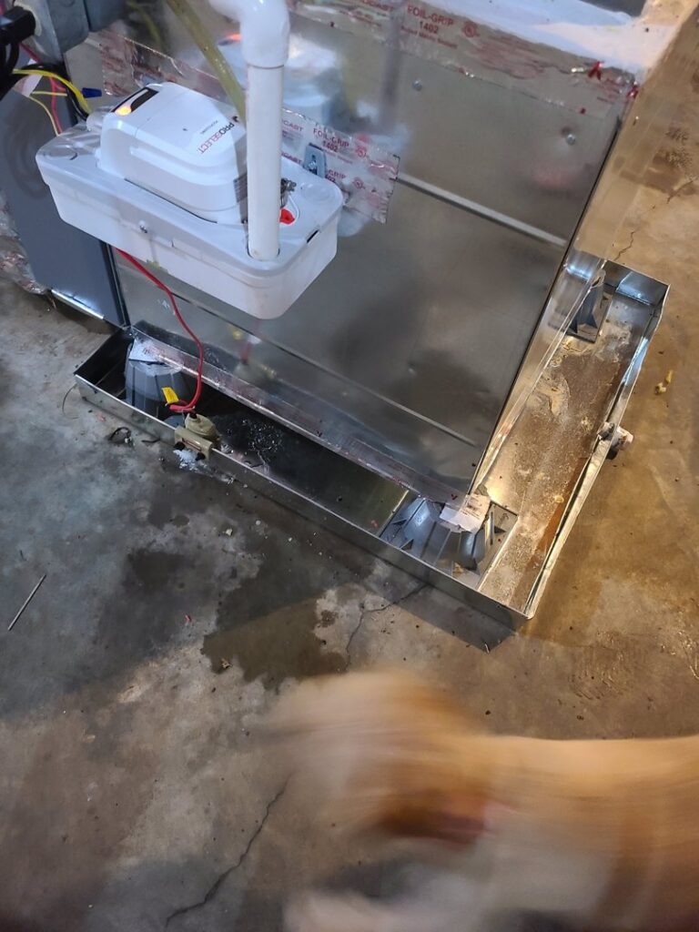 A close-up of an HVAC condensate pump and drain pan at an indoor unit by Adam's Air Conditioning & Heating in Rockvale, TN