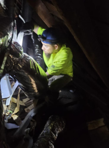 An HVAC technician installing or repairing flexible ductwork in an attic for Dr. Cool Climate Control HVAC in Las Vegas, NV.
