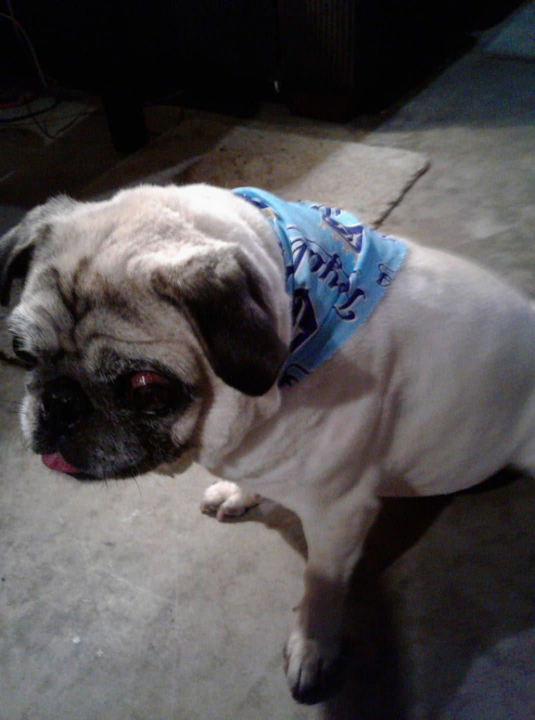 HVAC technicians and service vans from Guy's Heating And Cooling on a job site in Kansas City, MO.