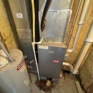 An indoor HVAC furnace system next to a water heater in a utility room, installed by Lopez Mechanical HVAC in Kansas City, MO.