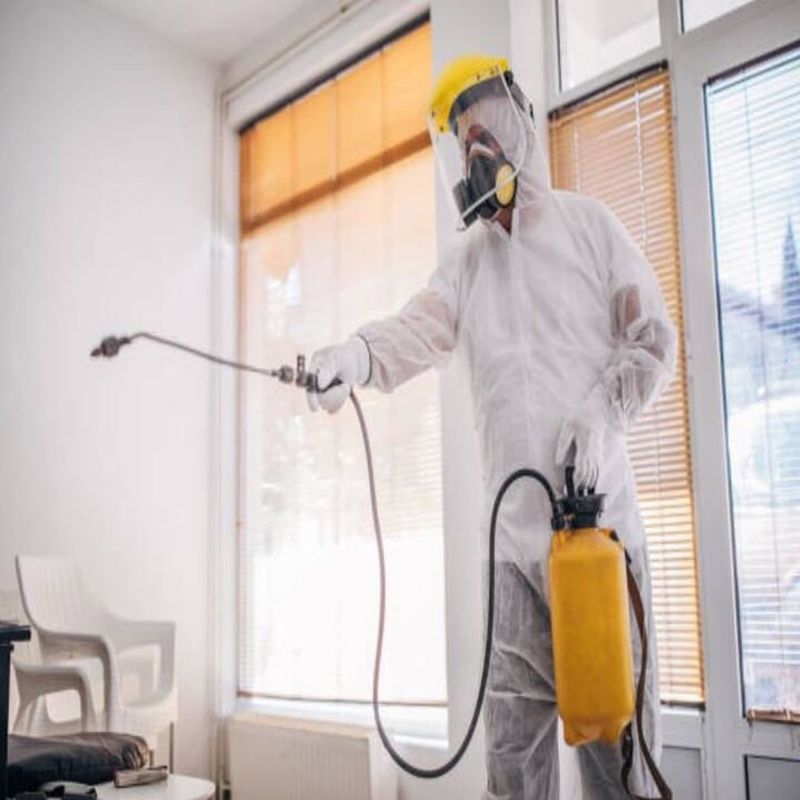 An indoor pest control treatment being performed by a technician for TOTAL Exterminating Co. Inc. in Indianapolis, IN.