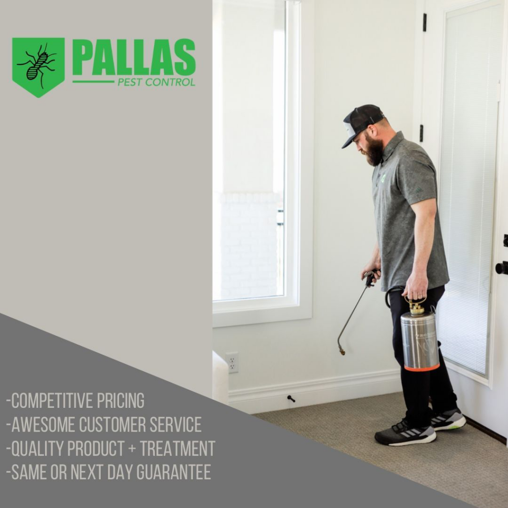 An indoor pest treatment by a Pallas Pest Control technician spraying a baseboard in Saint George, UT.