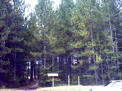 Industrial chain-link fence installation by Pro-Soil Site Services, Inc in Lansing, MI