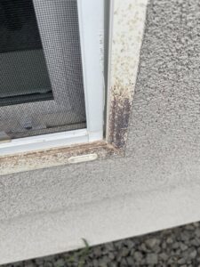 Evidence of insect activity and debris on the lower corner of a window frame, a common issue addressed by Pestcom Pest Management in Nampa, ID