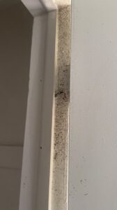 Close-up of insect droppings on a door frame, indicating a pest problem addressed by Elite Pest Control in Maple Grove, MN.