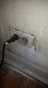 Insect droppings and debris visible around an electrical outlet, a sign of pest activity for Berry & Yates Pest Control in Chicago, IL.