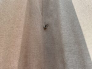 A small insect resting on light-colored fabric, indicating a potential pest issue addressed by Crist Termite & Pest Solutions, Inc. in Arthur, IL.