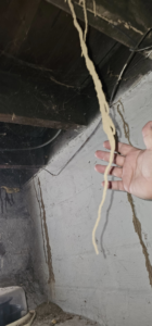 A hand inspecting a very large termite mud tube, illustrating the scale of a pest infestation handled by MJ's Absolute Solutions in Parma, OH.