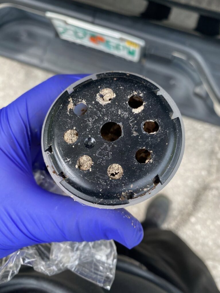 A gloved hand inspecting the bottom of a pest bait station, part of services by Crawford Pest Control in Jacksonville, FL.