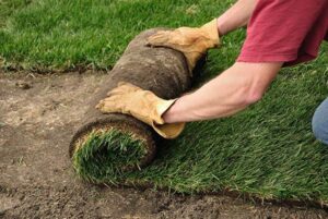A person installing new sod for a lawn, wearing gloves, by Aaron's Lawn Service in Pittsburg, KS.