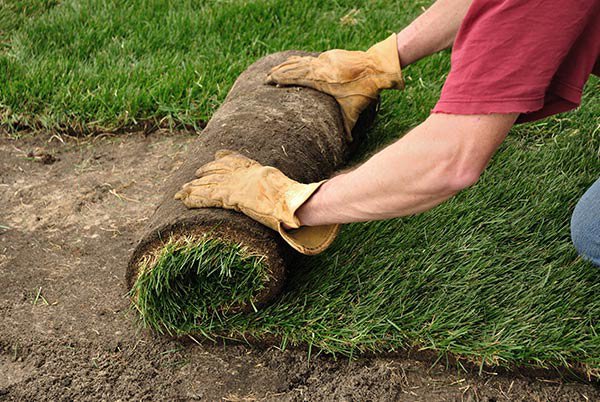 A person installing new sod for a lawn, wearing gloves, by Aaron's Lawn Service in Pittsburg, KS.