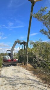 An excavator installing a tall wooden pole, likely for a wildlife nest structure, by The Wildlife Whisperer Inc in Cape Coral, FL