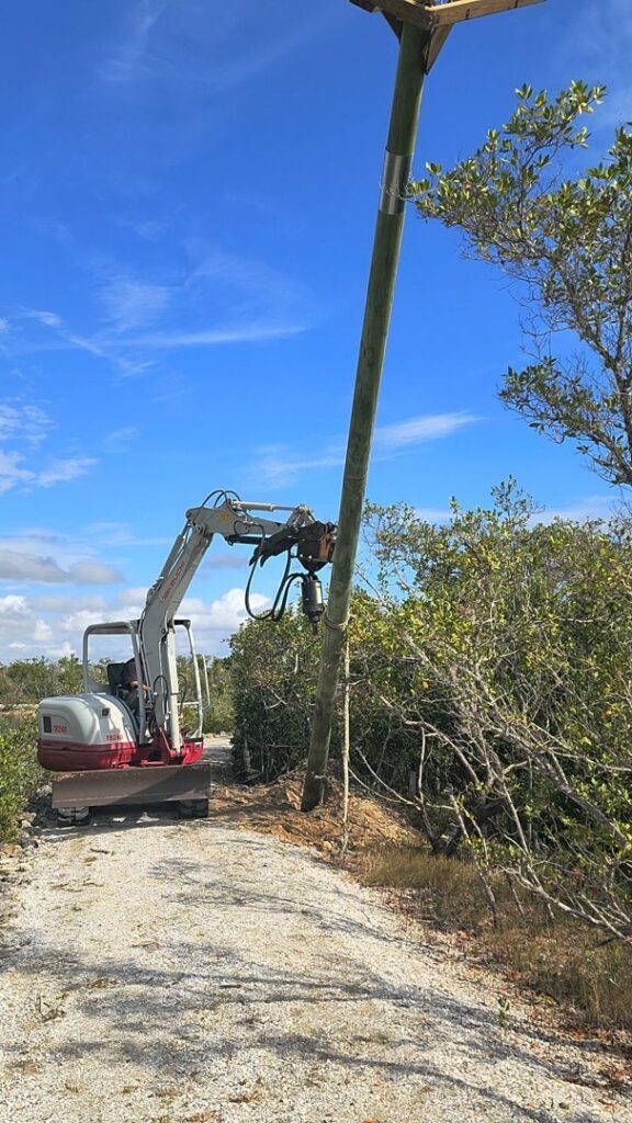 An excavator installing a tall wooden pole, likely for a wildlife nest structure, by The Wildlife Whisperer Inc in Cape Coral, FL