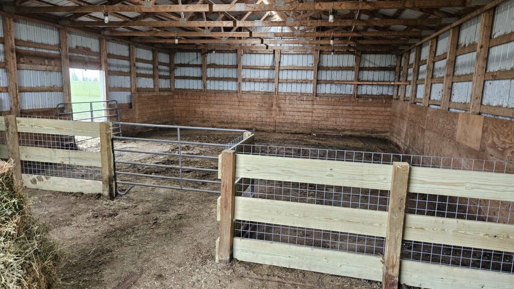 An interior barn livestock pen with a durable metal gate, constructed by Row Fencing and Services in Williston, ND.