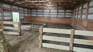 An interior barn livestock pen with a durable metal gate, constructed by Row Fencing and Services in Williston, ND.
