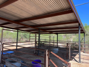 Interior view of a newly installed metal fencing and covered animal enclosure by TACK Fabrication in Romero, Tucson, AZ.