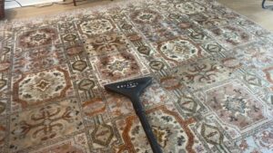 An intricate patterned area rug being professionally cleaned by Pronto And Carpet LLC in Charlotte, NC.