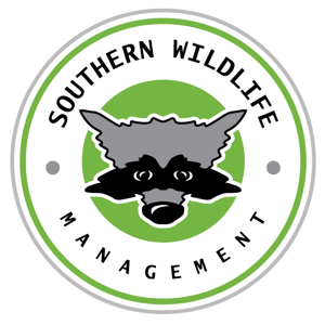 Johns Creek Bat Removal & Bat Control